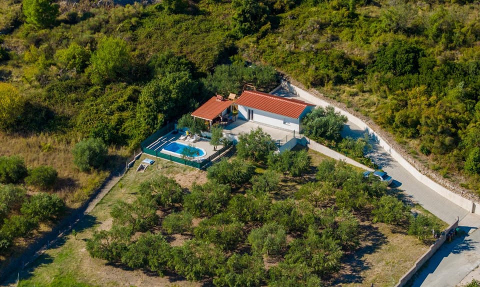 Property building, Spring, Day, Neighbourhood, Natural landscape, Bird's eye view