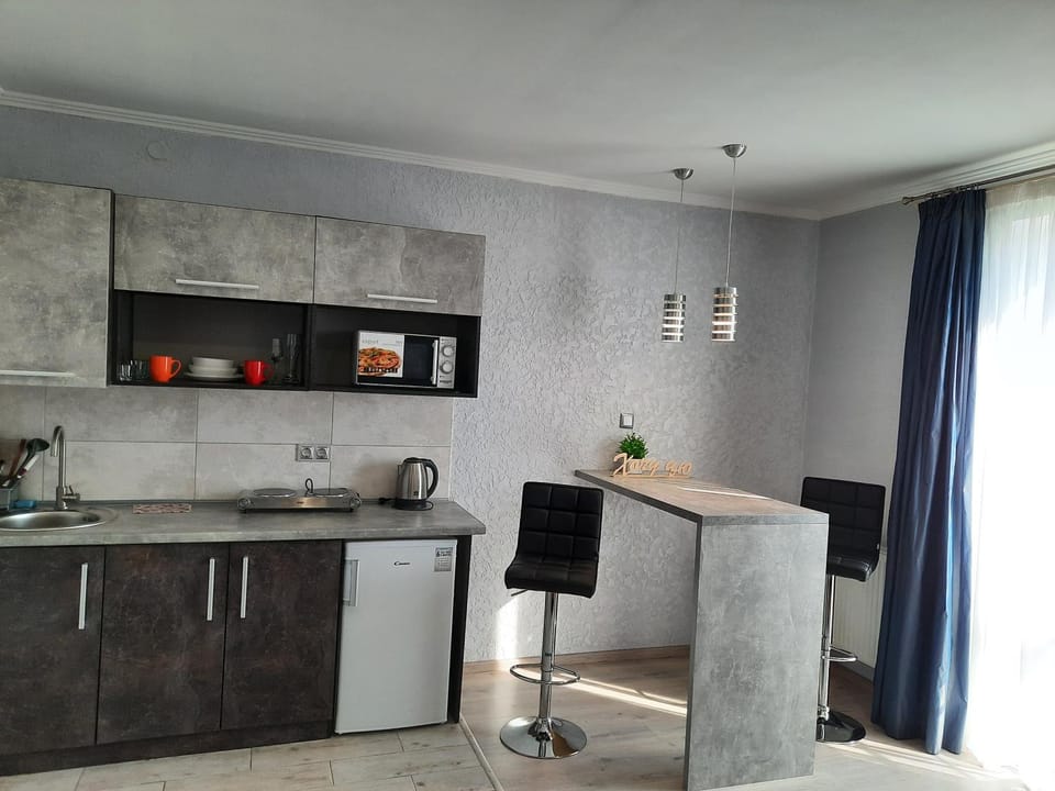 NEW studio Ap【WANT THIS】 Apartment in Lviv Oblast