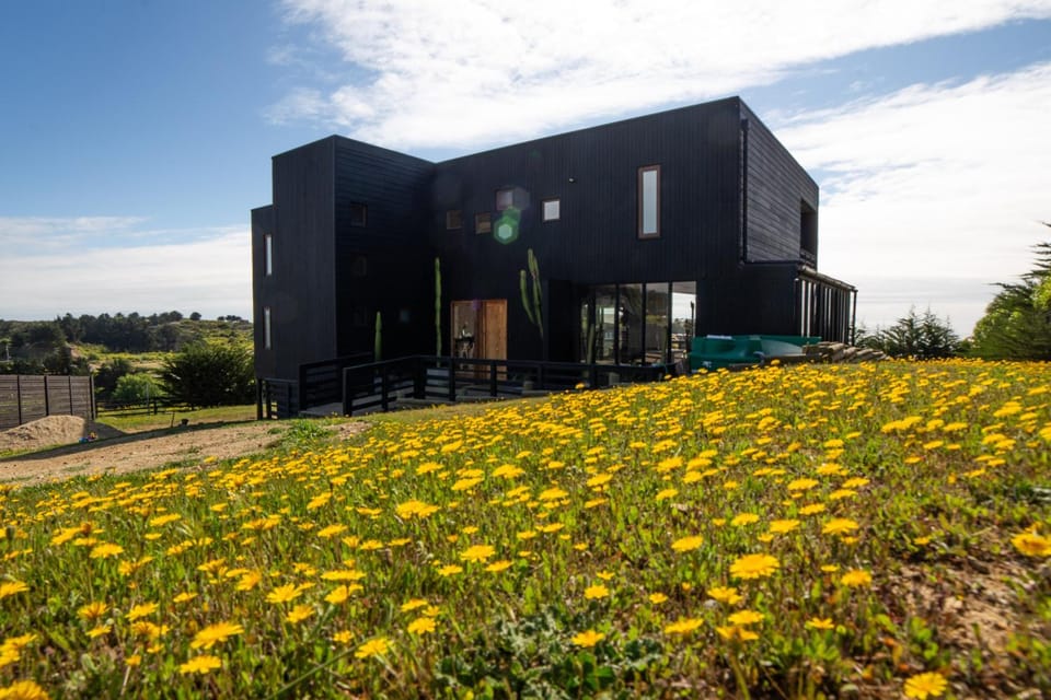 Property building, Spring, Day, Garden, Garden view