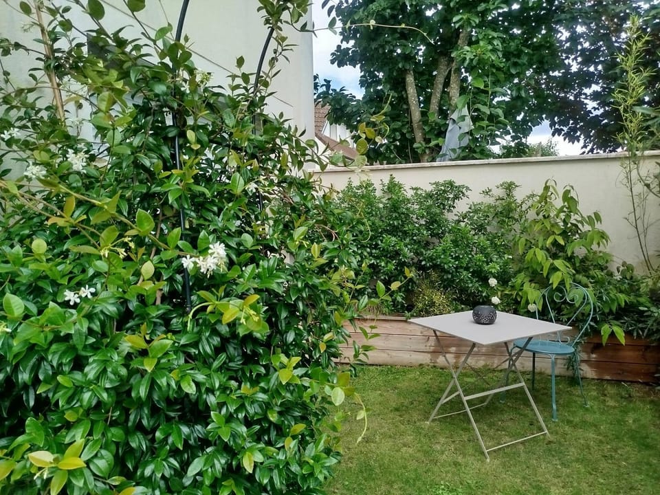 Patio, Garden