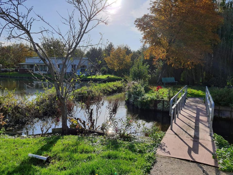 Garden, Garden view