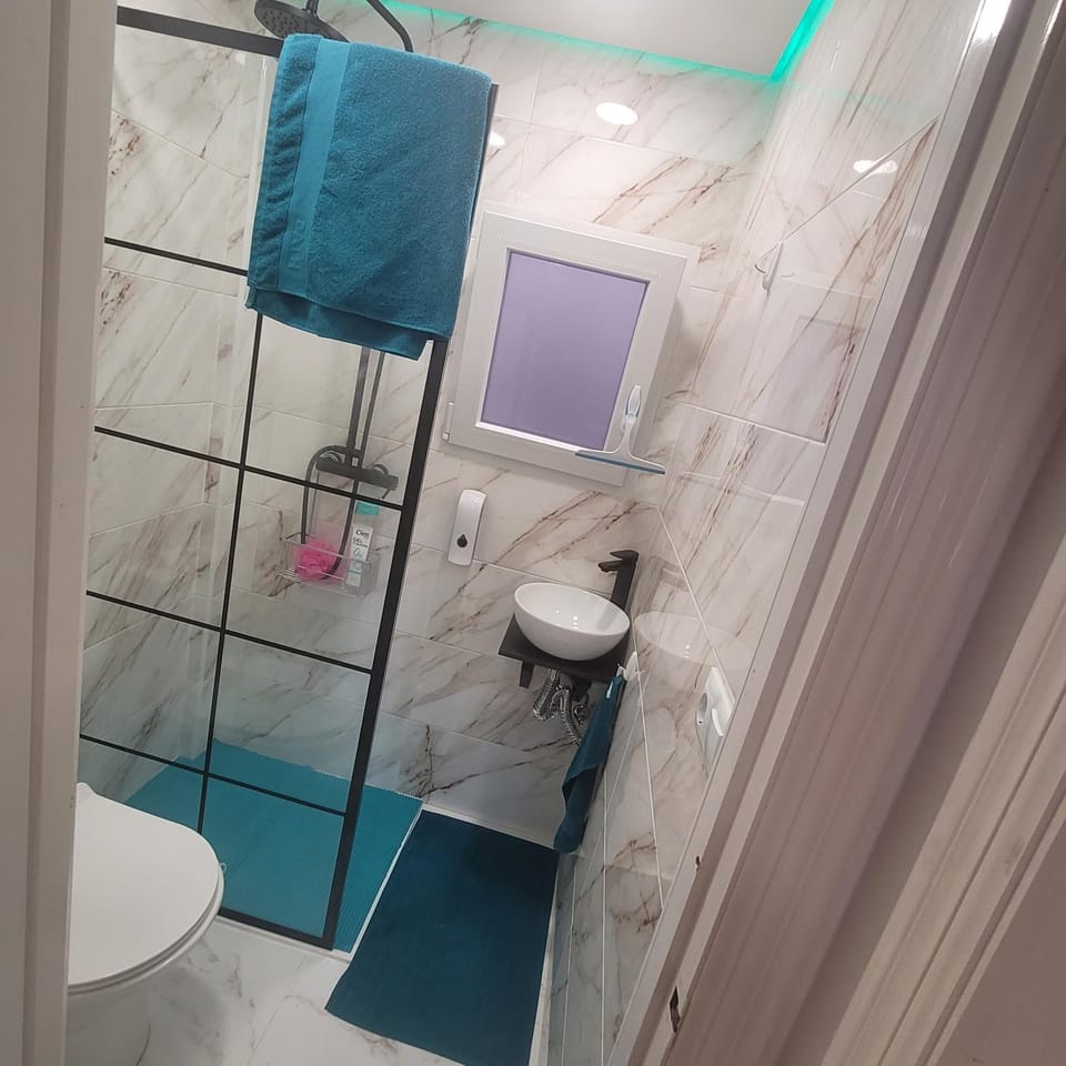 Shower, Toilet