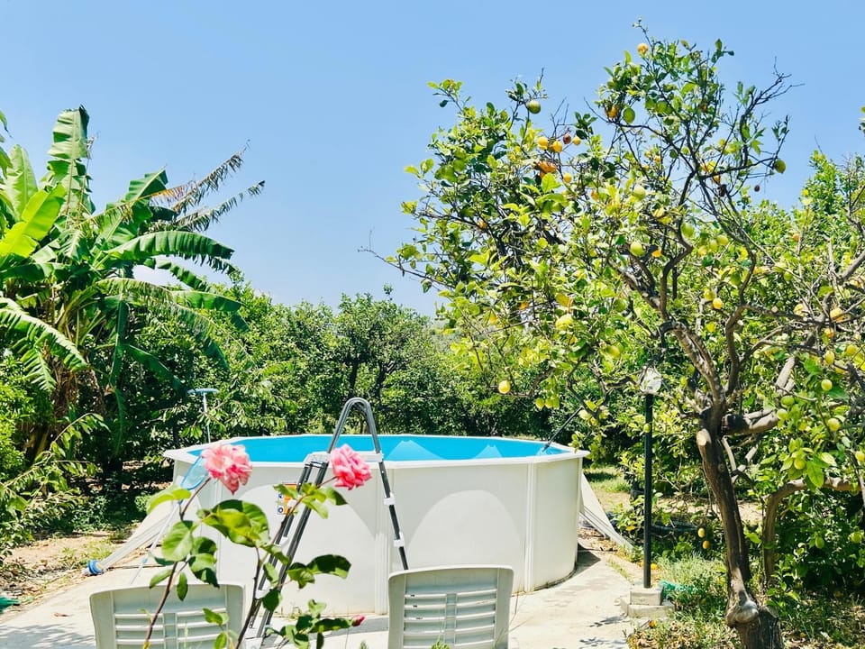 The Great Garden with pool, parking & wifi House in Avola