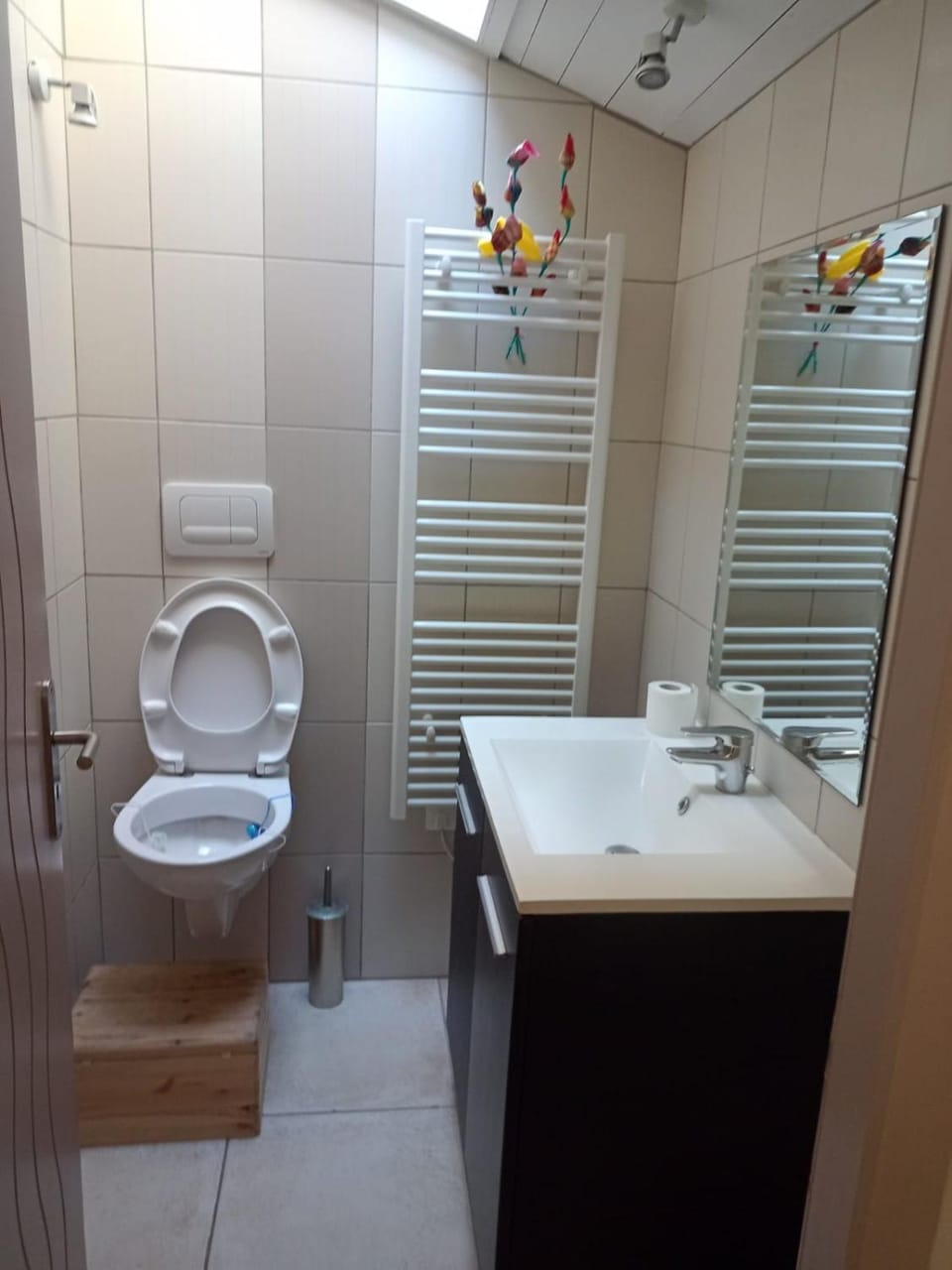 Shower, Toilet