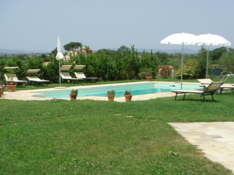 Garden, Swimming pool