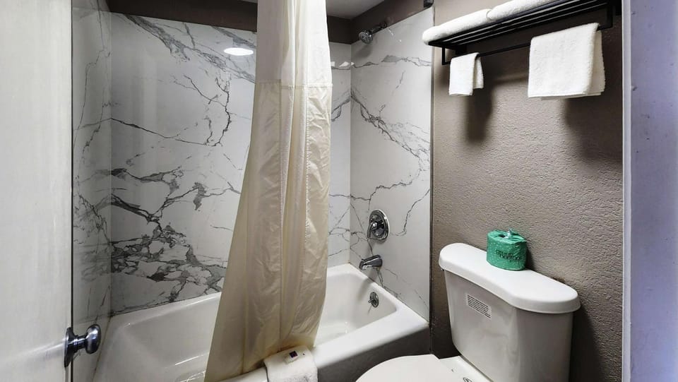 Shower, Toilet, Bathroom, Bath, towels