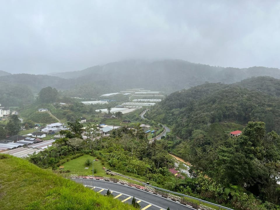 Bird's eye view, Mountain view, Street view