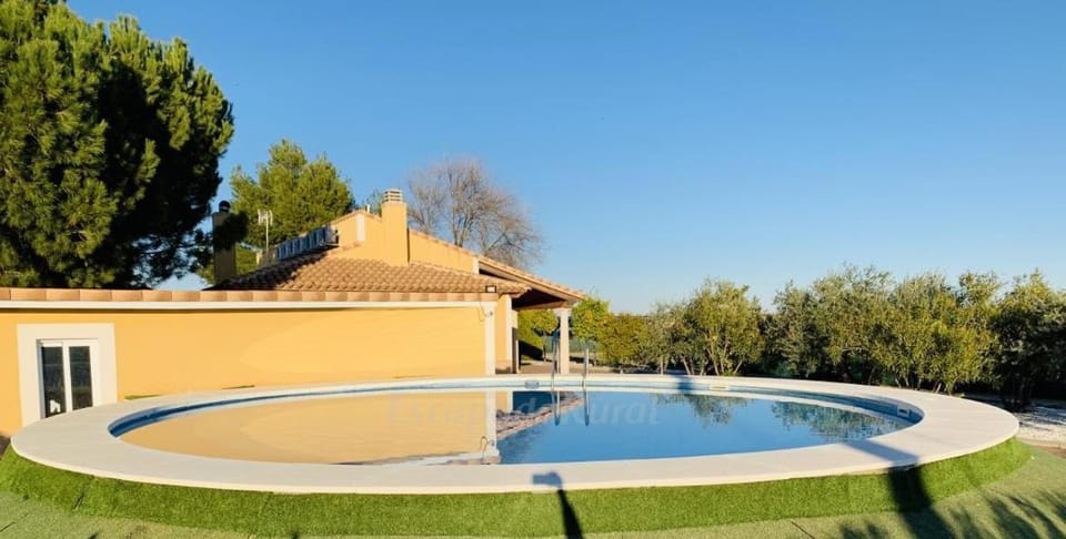 Property building, Day, Garden, Garden view, Pool view, Swimming pool