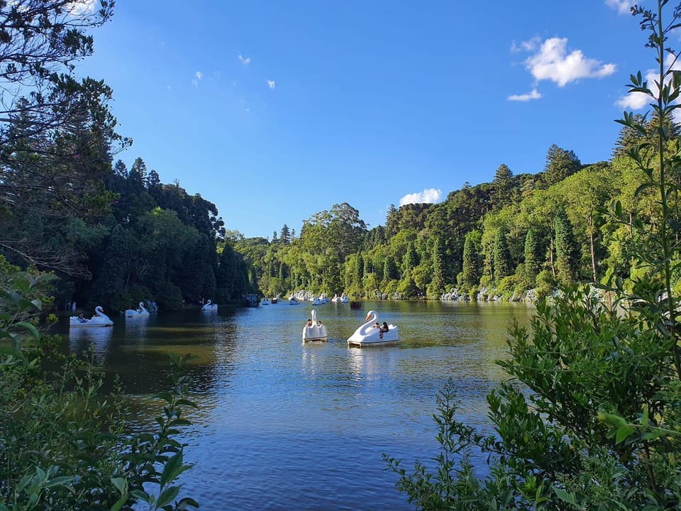 Natural landscape, Lake view