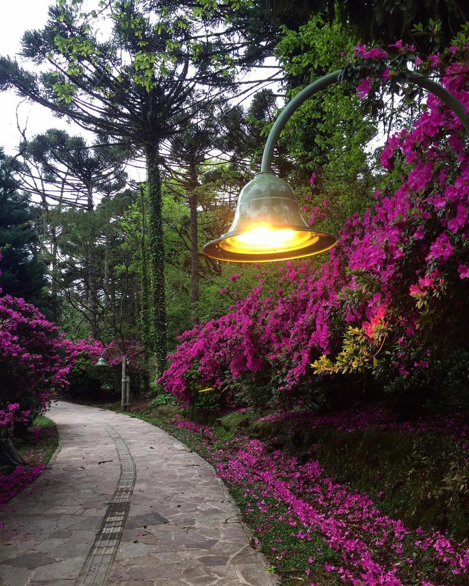 Natural landscape