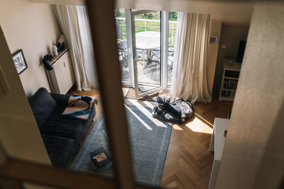Balcony/Terrace, Living room, Pets