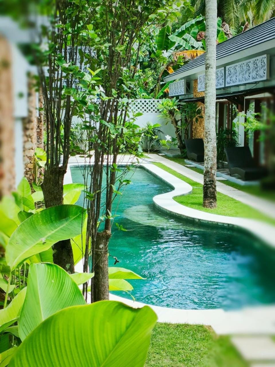 Property building, Swimming pool