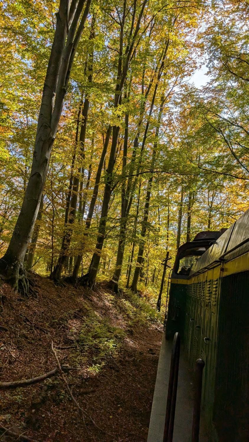 The Hunters Glamping Luxury tent in Serbia