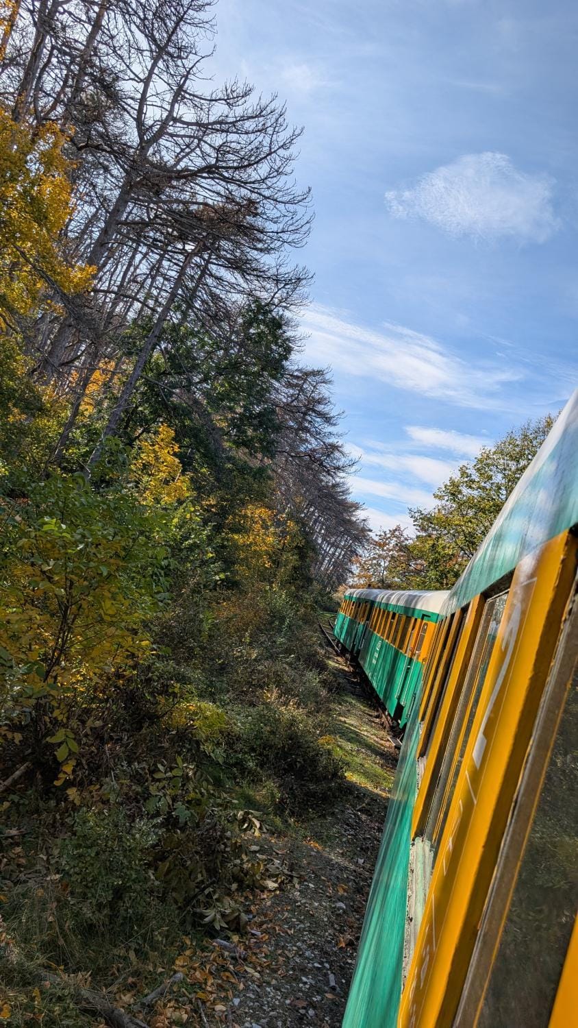 The Hunters Glamping Luxury tent in Serbia