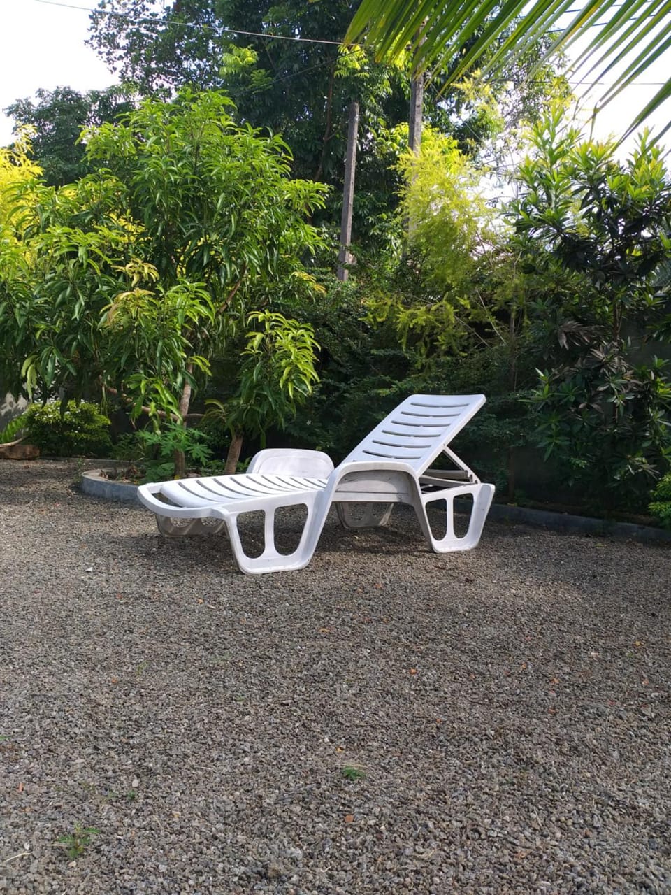 Patio, Garden