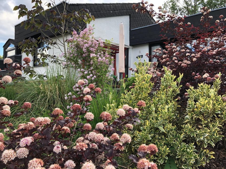 Property building, Garden, Garden view