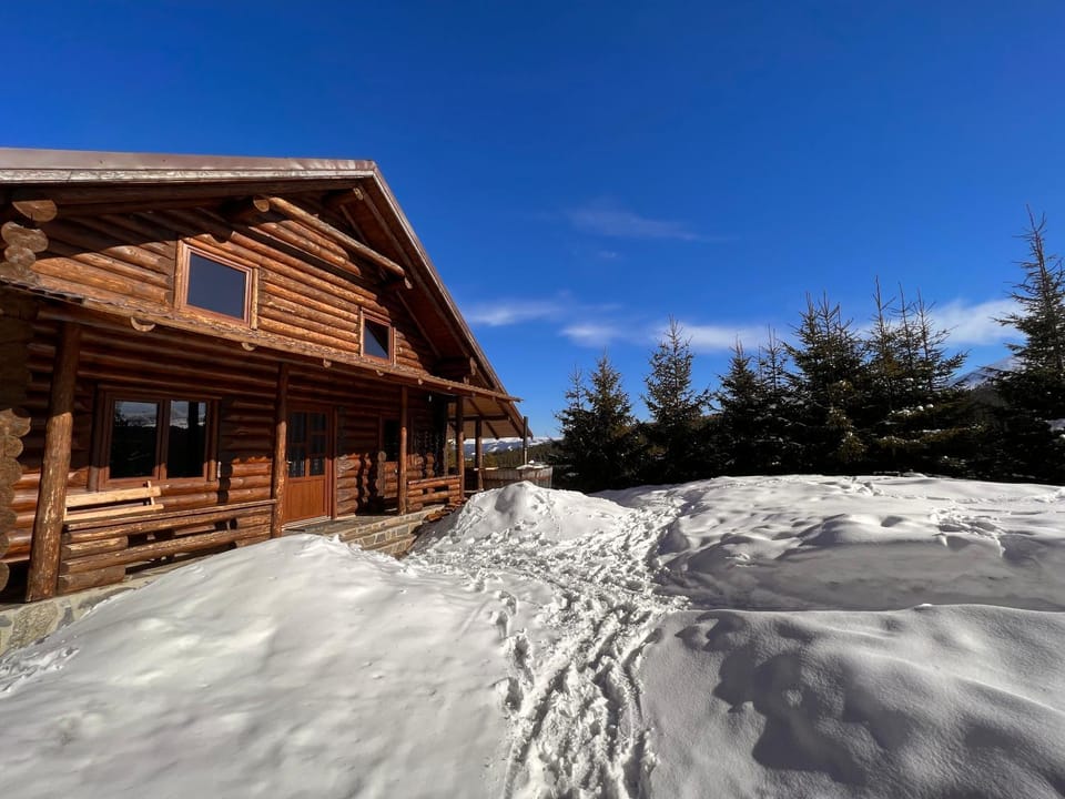 Cabana Lupilor Chalet in Romania