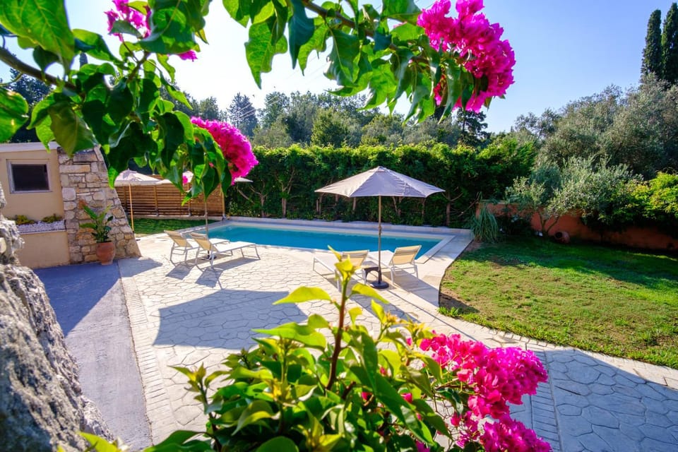 Garden, Garden view, Pool view, Swimming pool