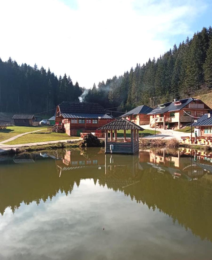 Lake view