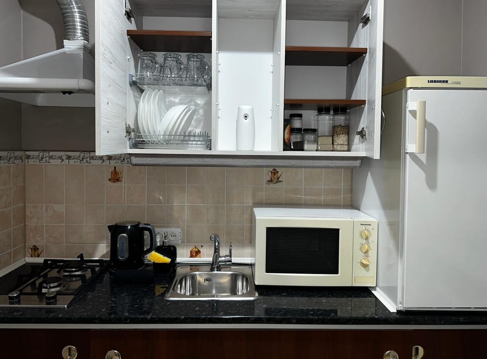 ZWIN Apartment 2 Apartment in Lviv Oblast