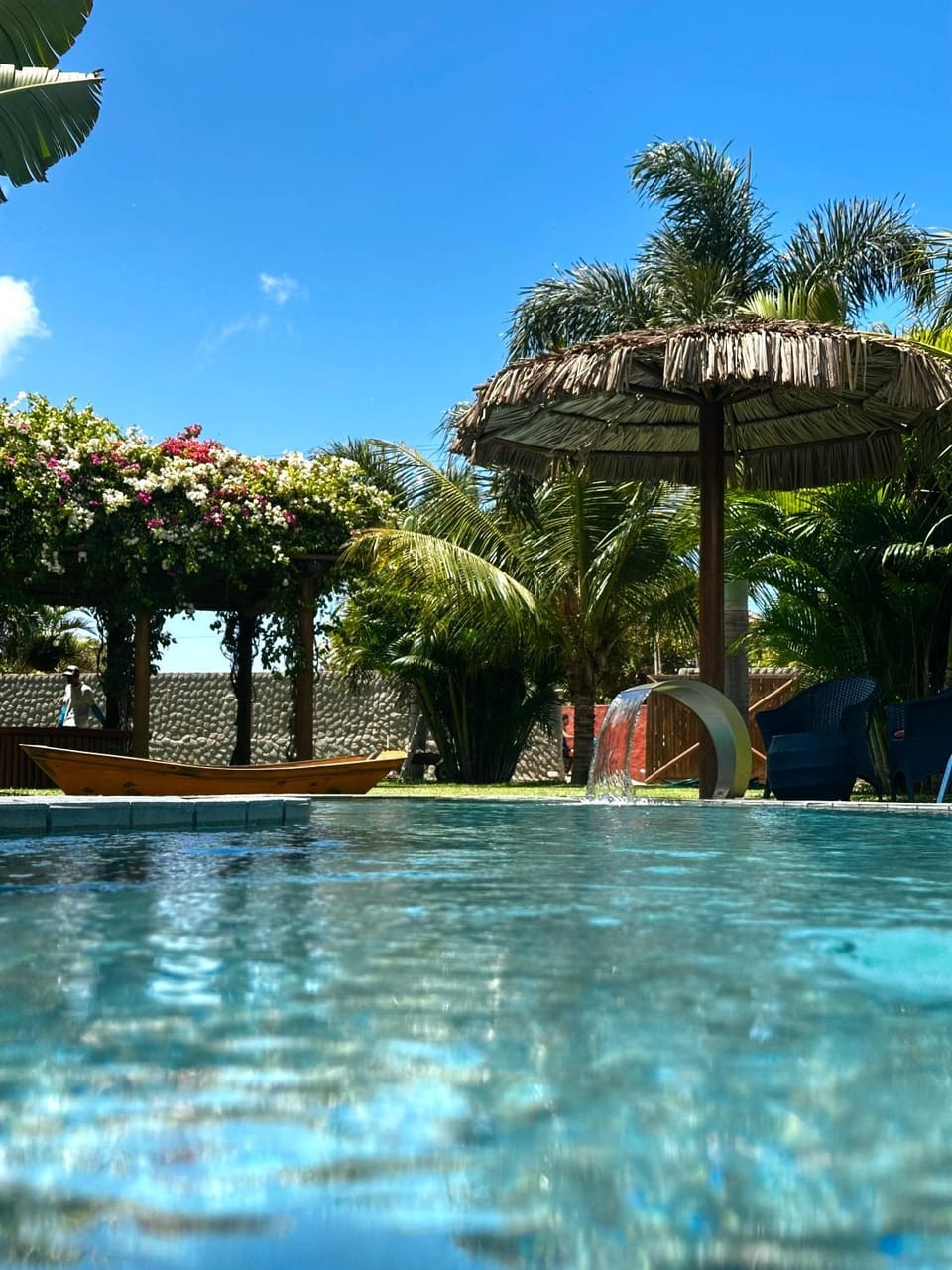 Day, Garden, Pool view, Swimming pool