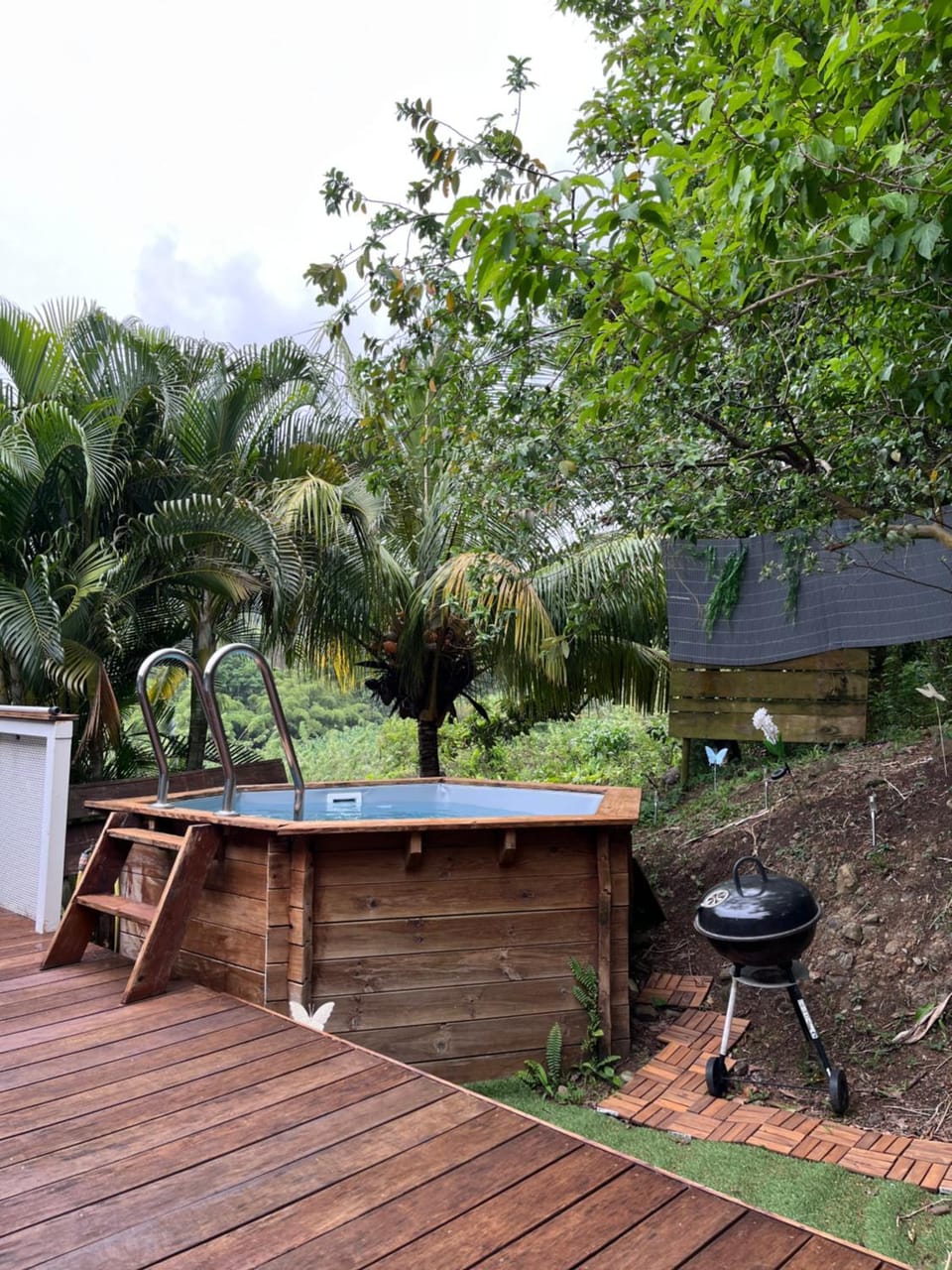 Villas smoothie SYCARO House in Martinique