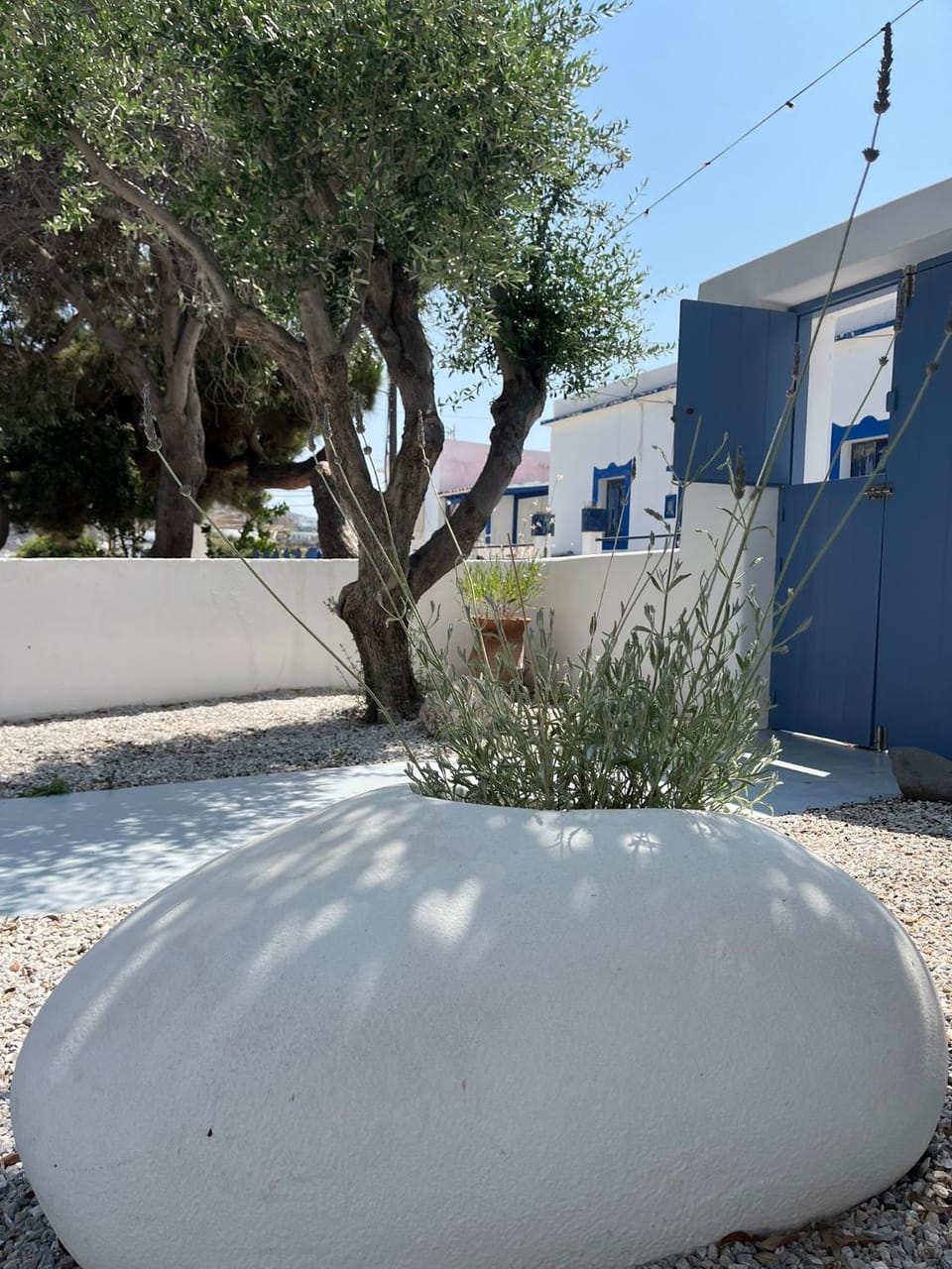 Property building, Facade/entrance, Garden