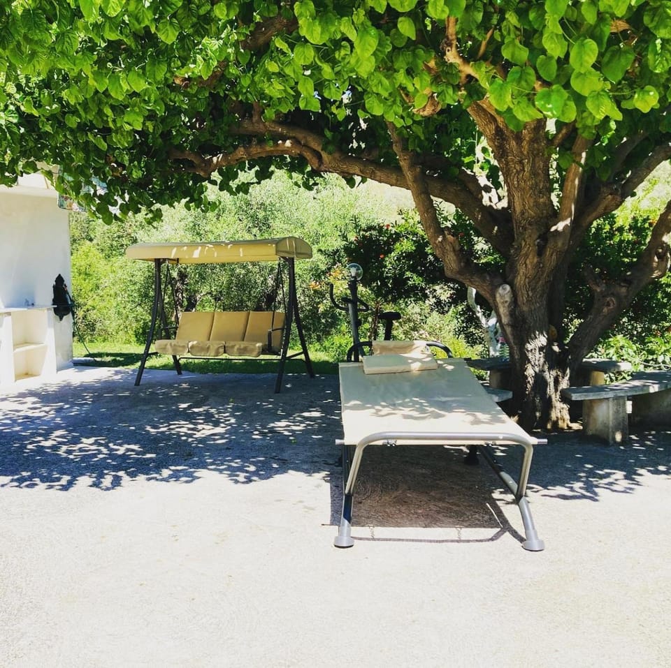 Patio, Garden, Garden view