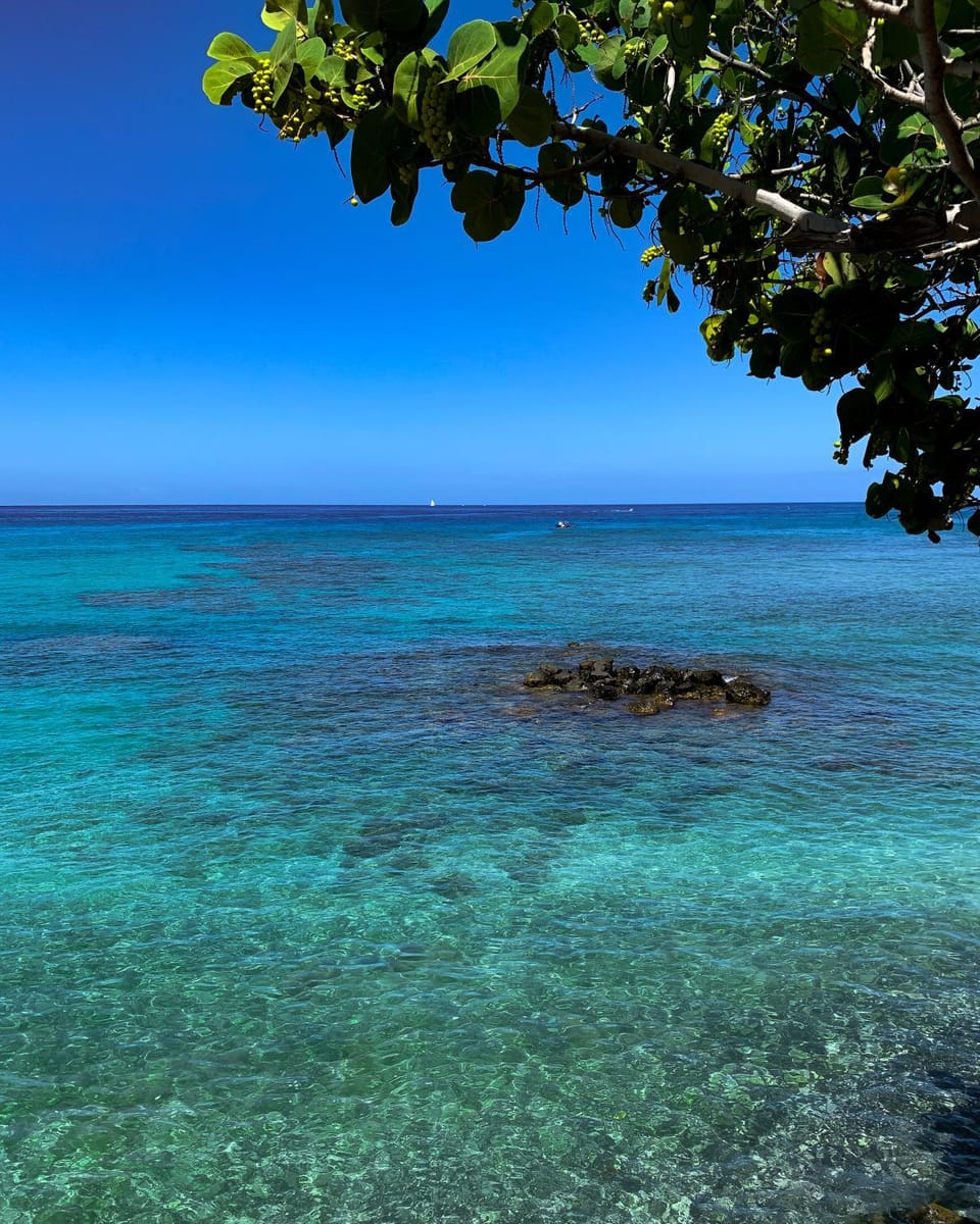Sea view, Sea view