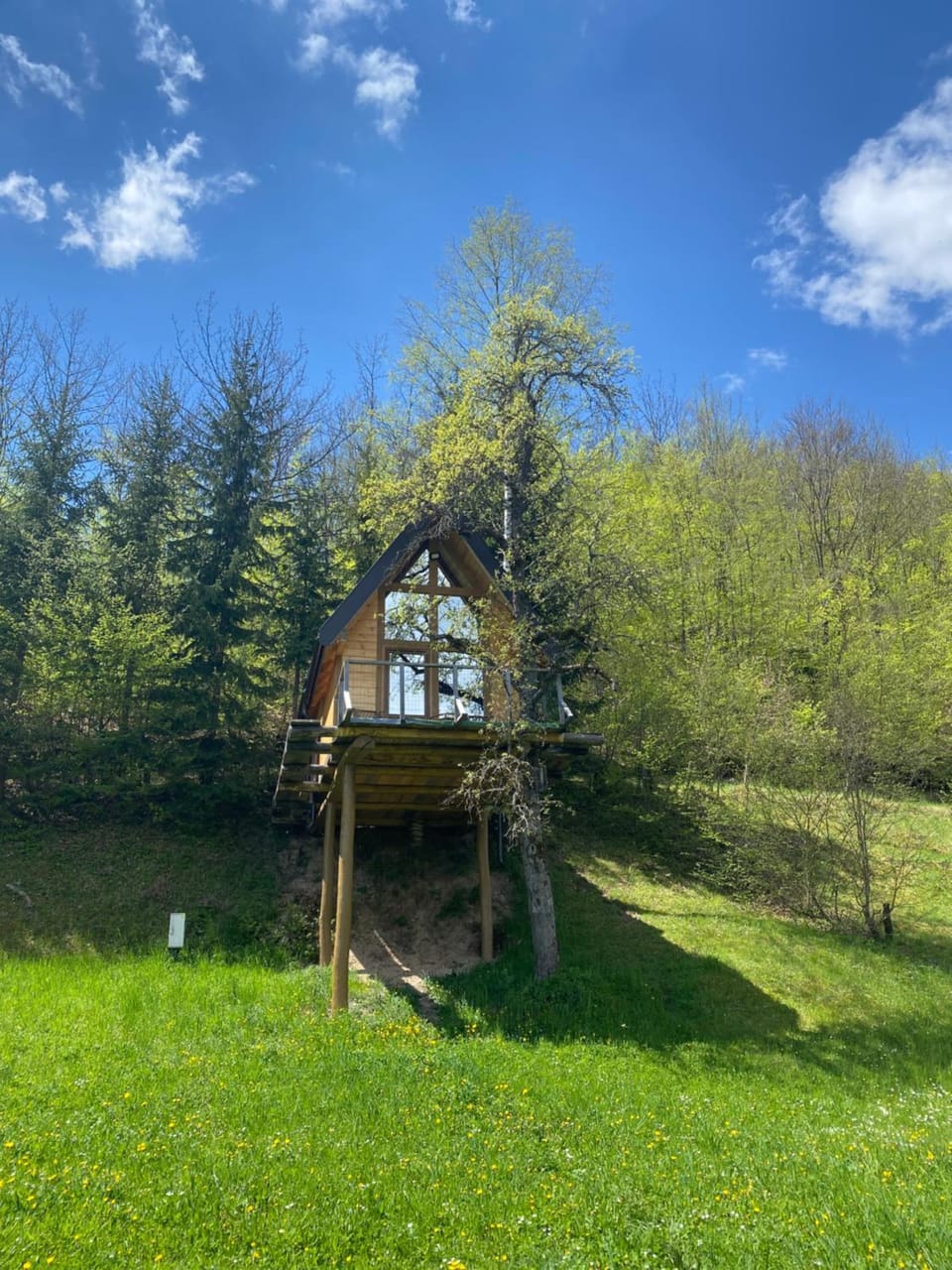 Tree house - Tara Place Chalet in Montenegro