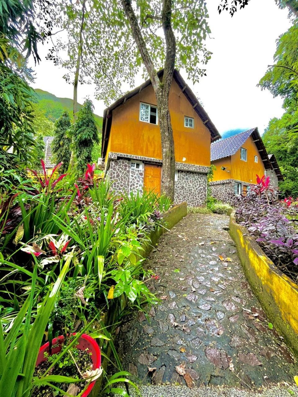 Property building, Natural landscape