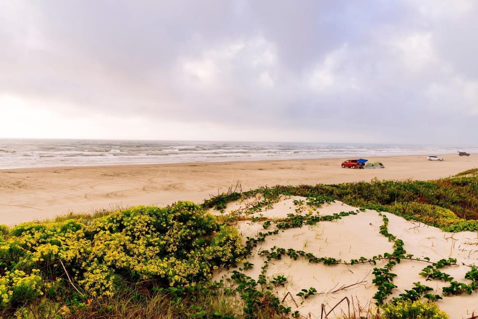 The Turtle Pack at Palmilla Beach House in Port Aransas
