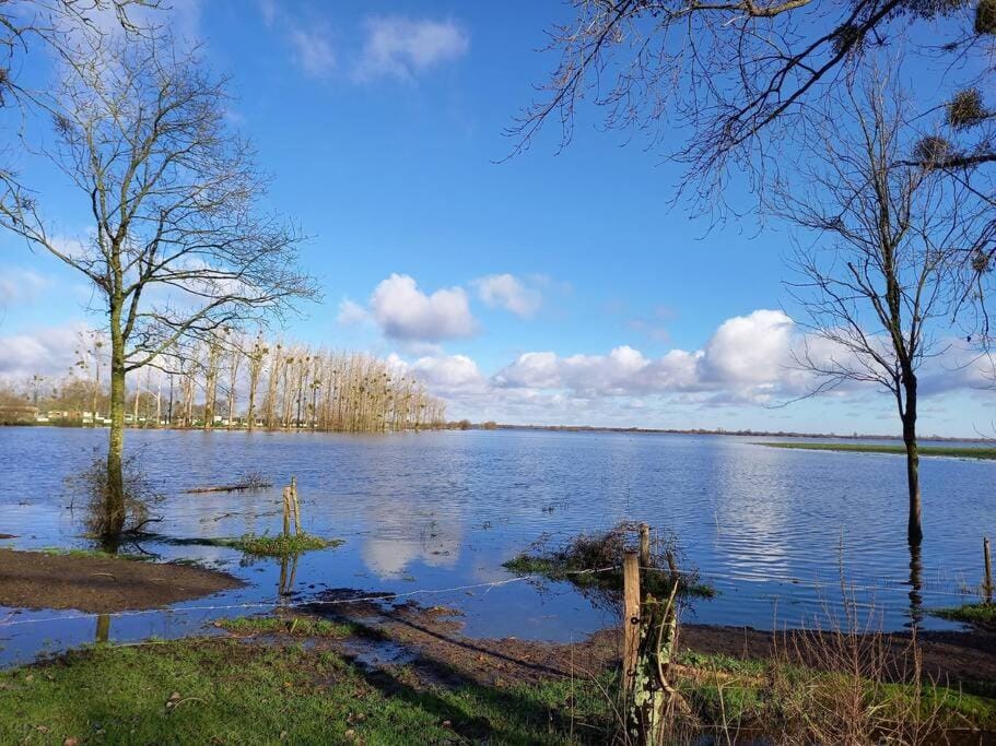 Natural landscape