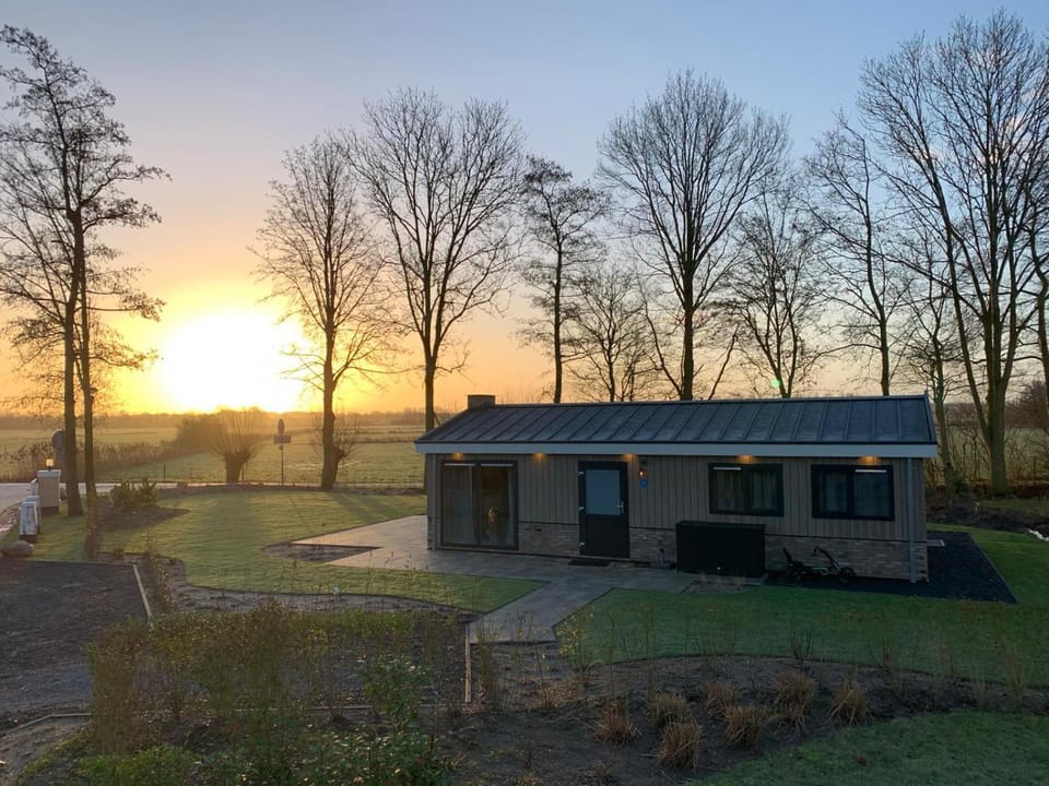 Property building, Garden, Sunrise