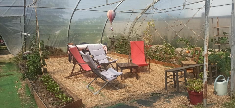 Garden, Garden