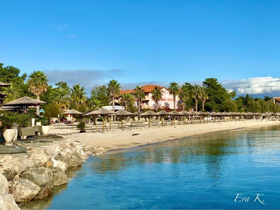 Villa ISLAND VIR with pool Villa in Zadar County