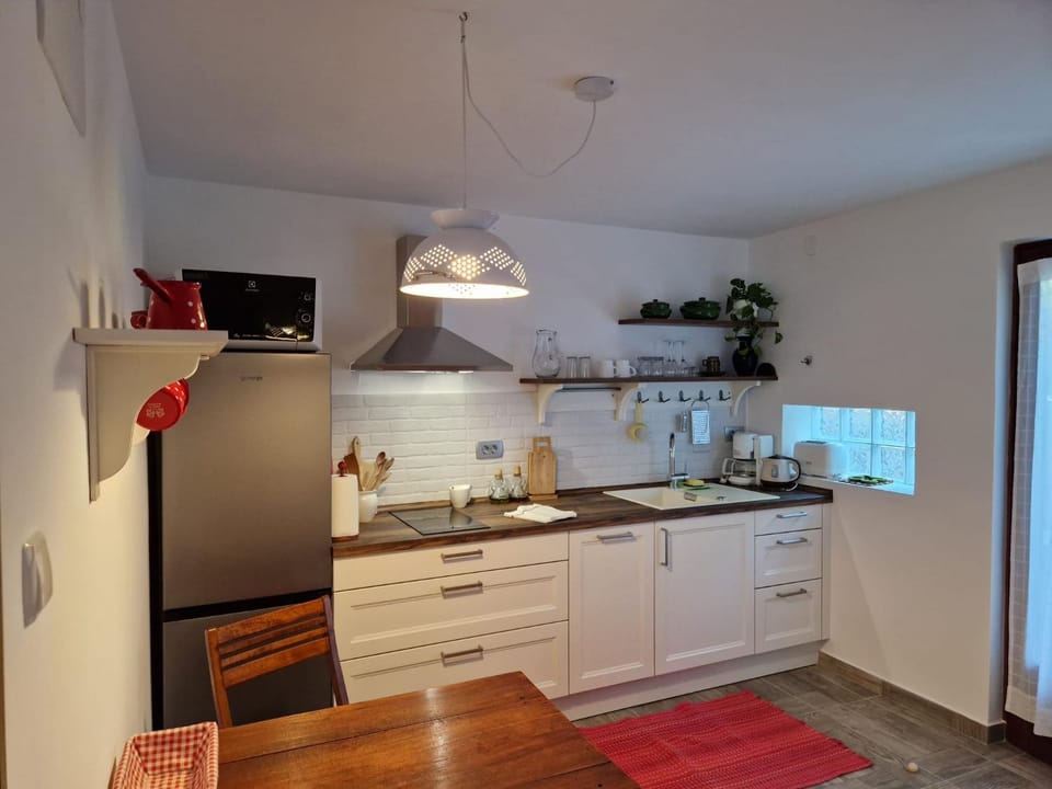 dishwasher, minibar, stove, kitchen