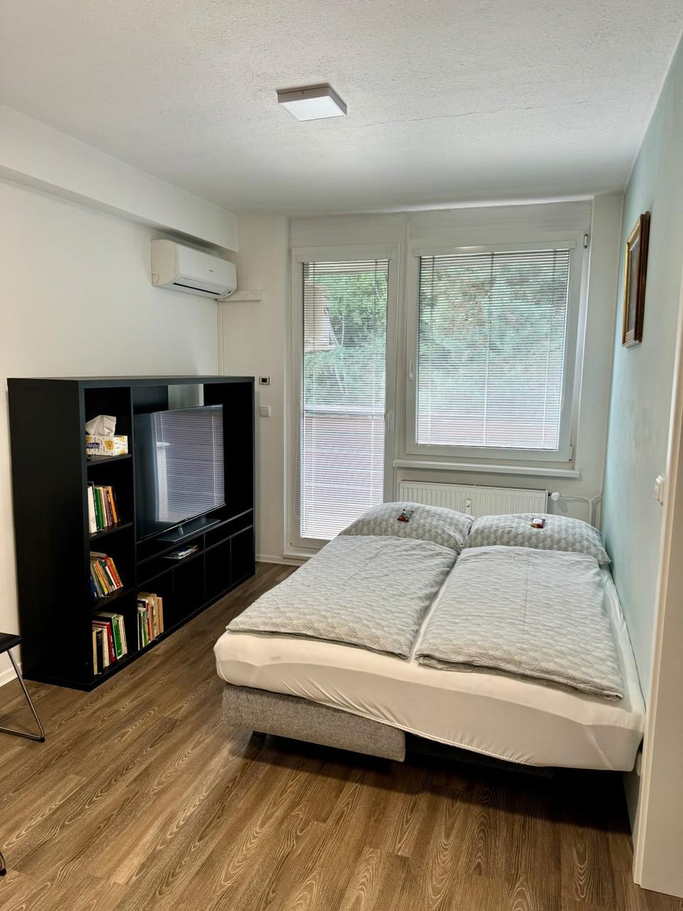 Living room, air conditioner