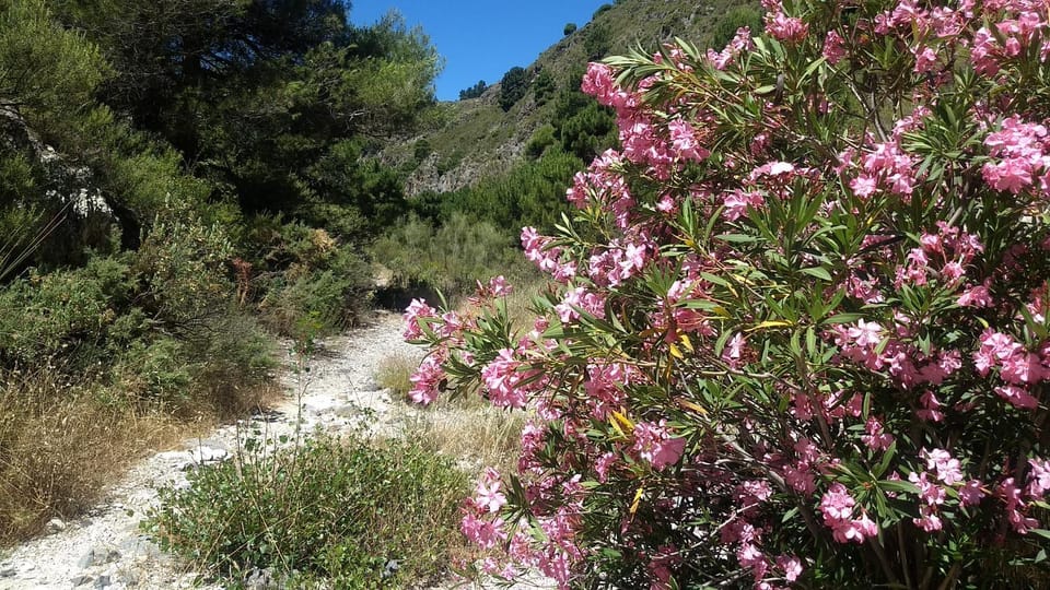 Natural landscape, Hiking