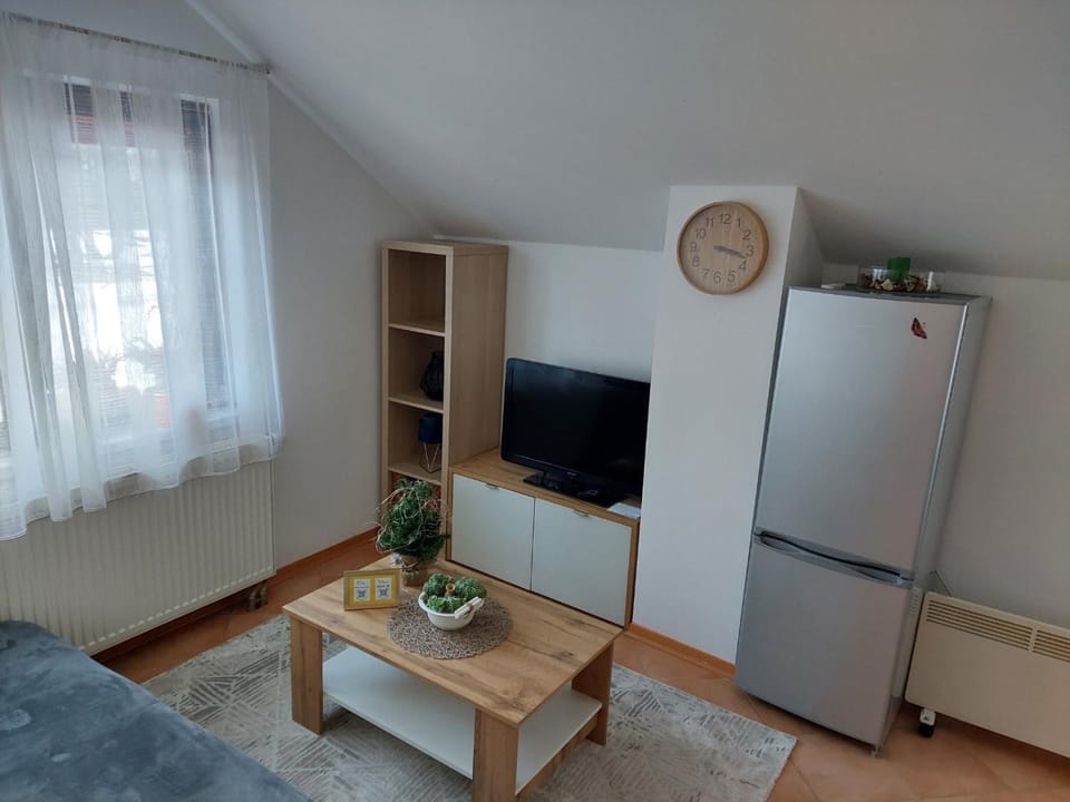 Apartma Anastasija Apartment in Friuli-Venezia Giulia