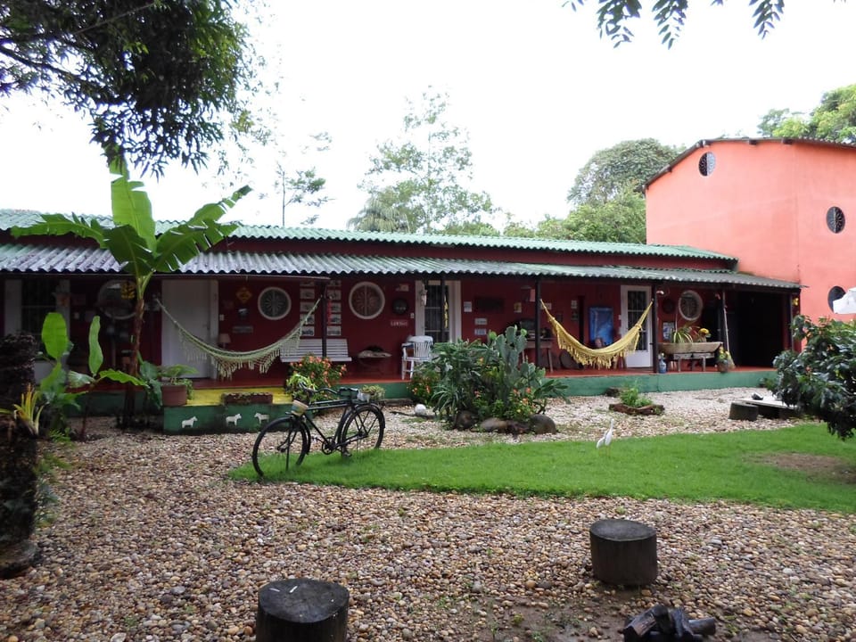 Property building, Patio, Garden, Garden, Garden view