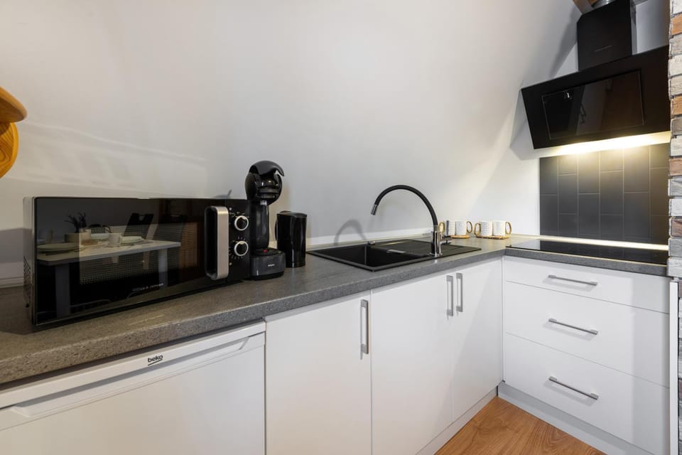 Coffee/tea facilities, Kitchen or kitchenette, minibar, pet friendly, stove, kitchen