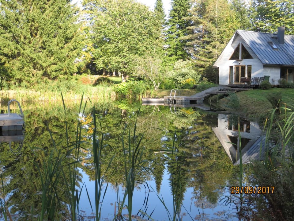 Lake view