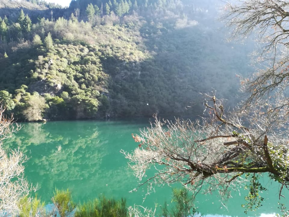 Natural landscape, River view