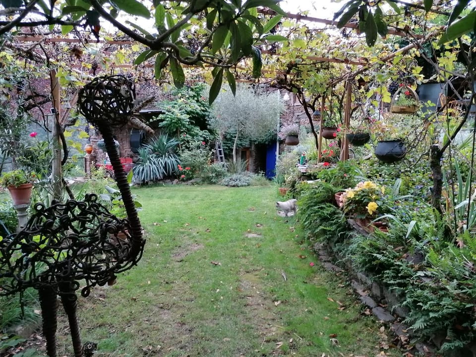 Garden, Balcony/Terrace, Garden view