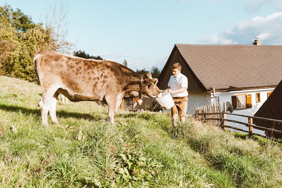 Almhaus Rinner House in Styria