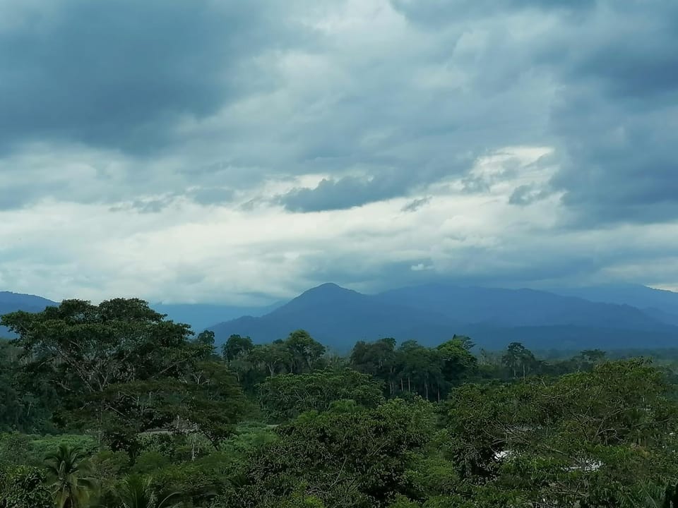 Mountain view