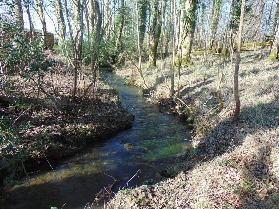 Natural landscape