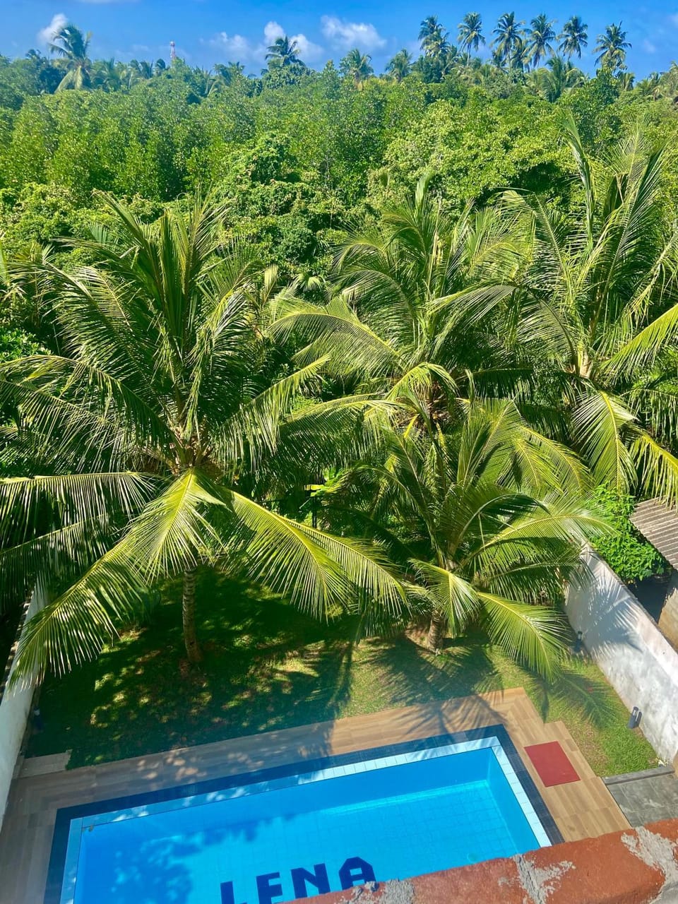 Garden view