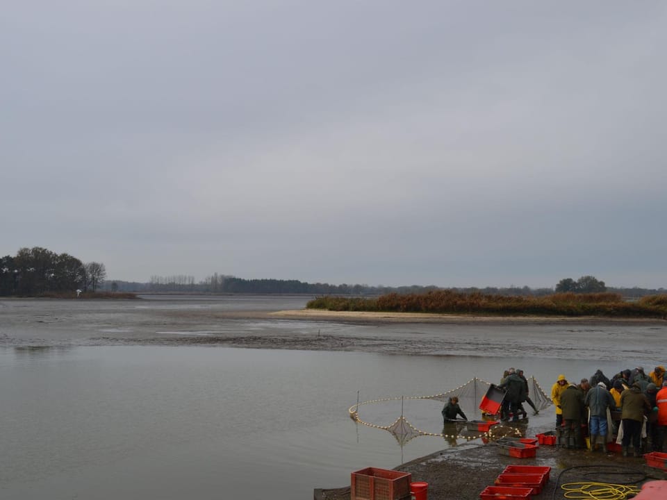 Gîtes Rénovés avec Piscine au Cœur de la Brenne – Proche Sites Naturels et Historiques - FR-1-591-327 House in Centre-Val de Loire